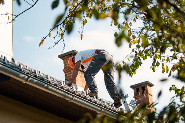 Best Emergency Roof Repair  in Warren, PA